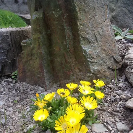 Chalé Bungalovy Baranec *